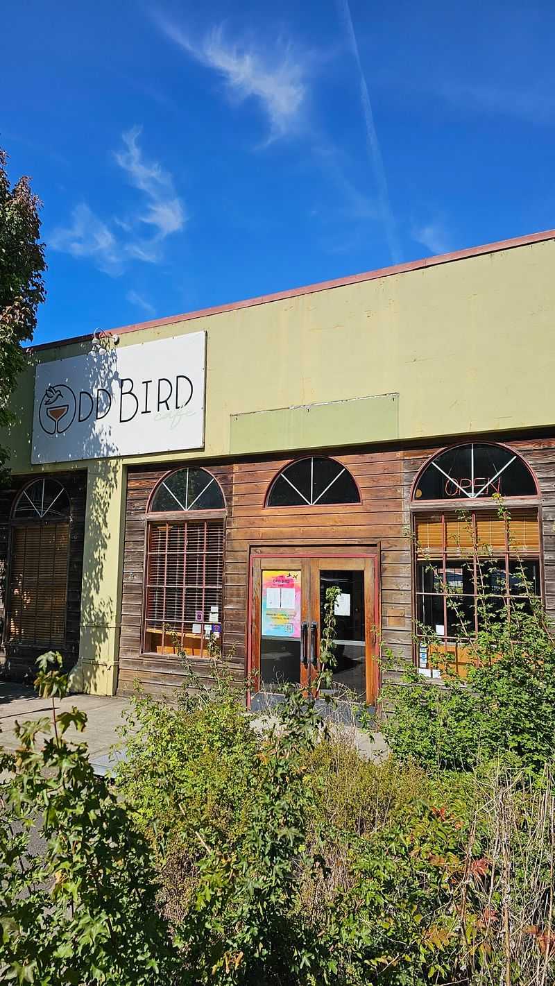 Odd Bird Cafe