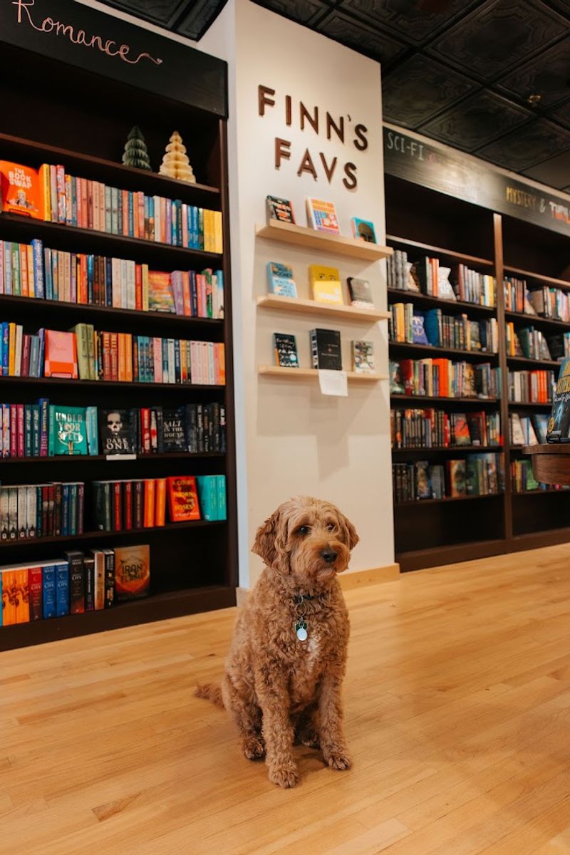 About Time Bookstore, Libertyville