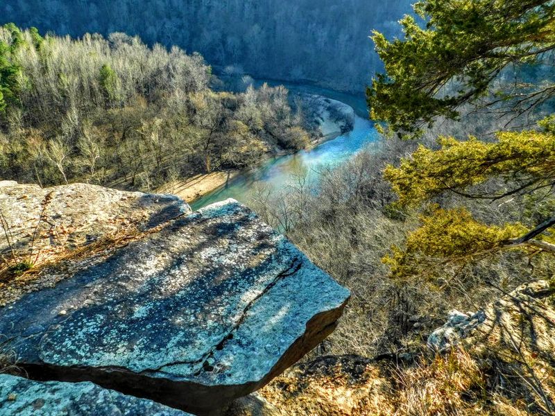 Above The River And Deep Into The Wild