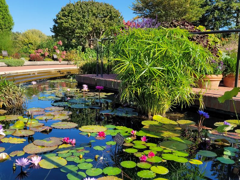 Chicago Botanic Garden – Glencoe