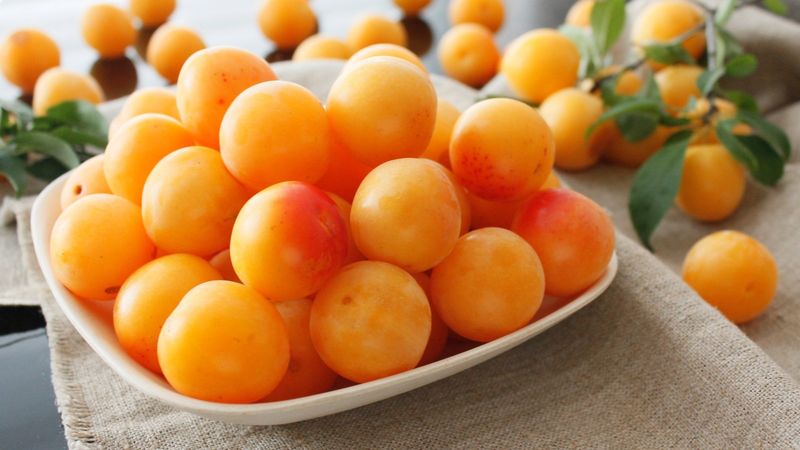 Mirabelle Plums: The Forbidden Fruit
