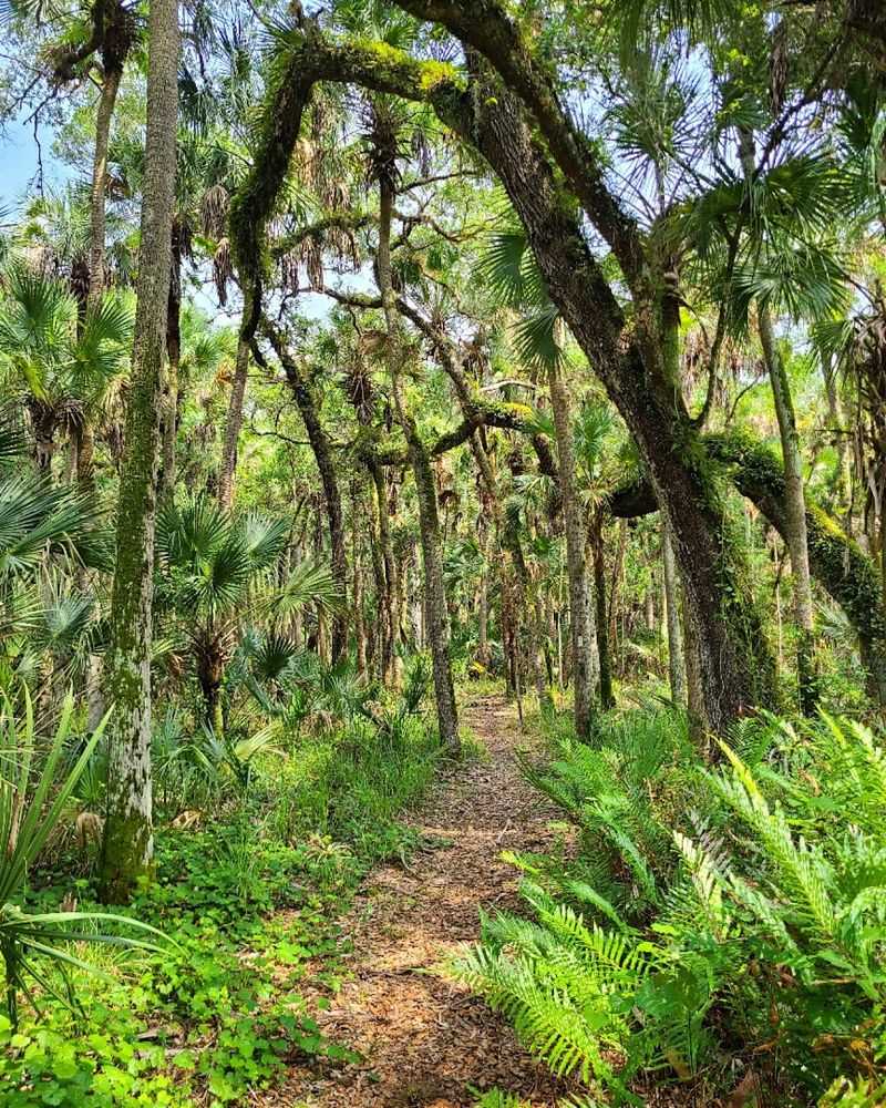 Multiple Trail Options Suit Different Approaches