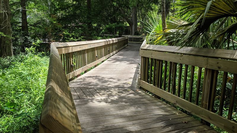 Well-Maintained Accessible Pathways
