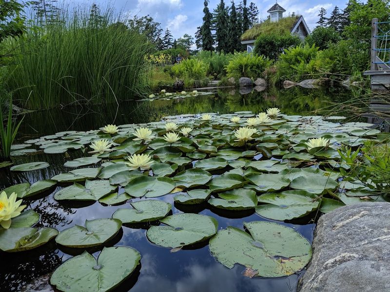 Coastal Maine Botanical Gardens, Boothbay