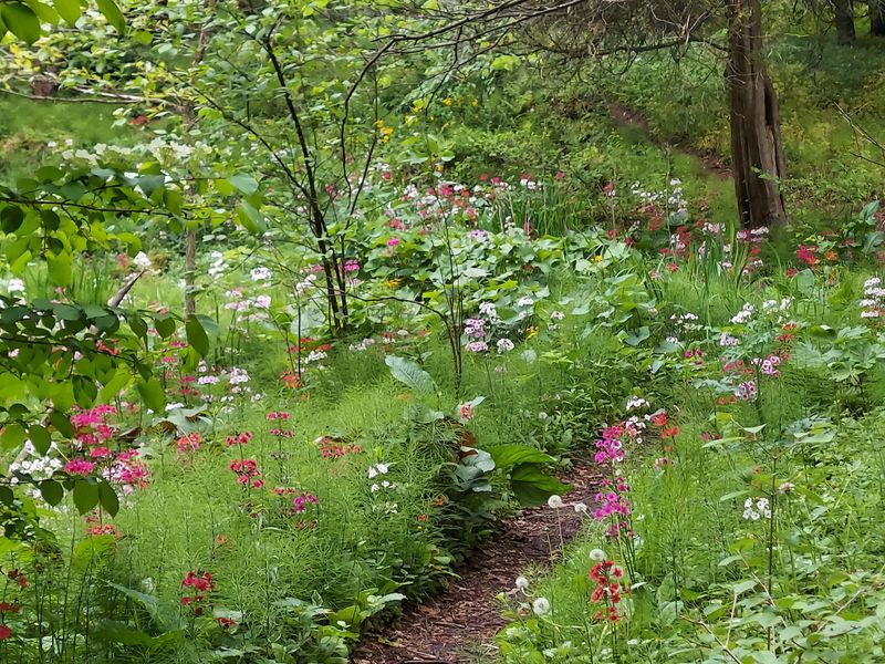 Seasonal Shifts Worth Chasing