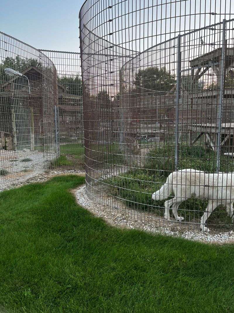 Best Times And Smart Strategies