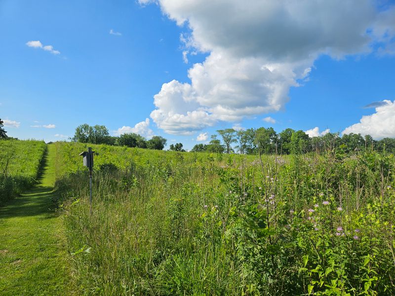 Picnic Spots With A View