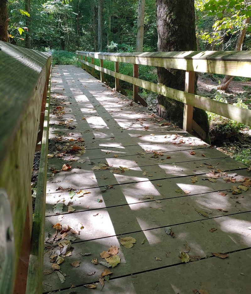 Accessibility And Ease: A Trail That Truly Welcomes Everyone Accessibility And Ease: A Trail That Truly Welcomes Everyone
