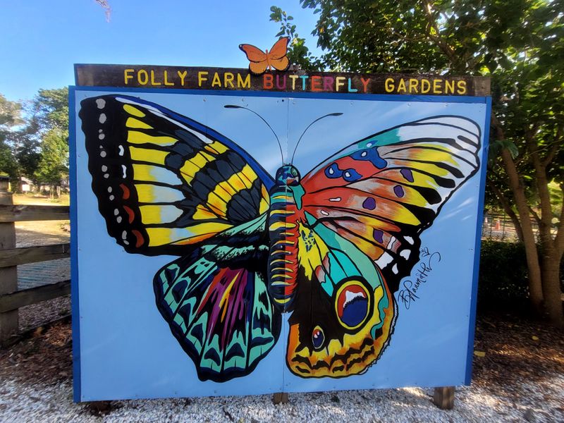 Kid Magic Without The Sugar Crash