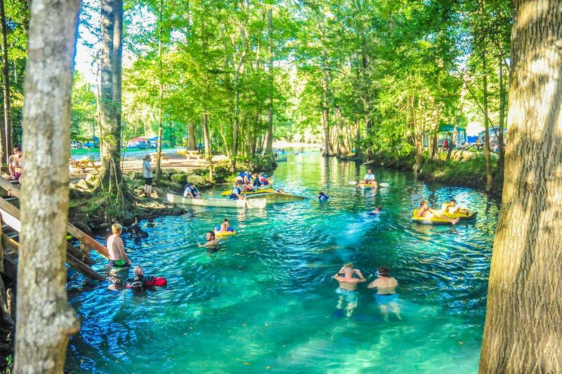 When To Go For Peak Magic