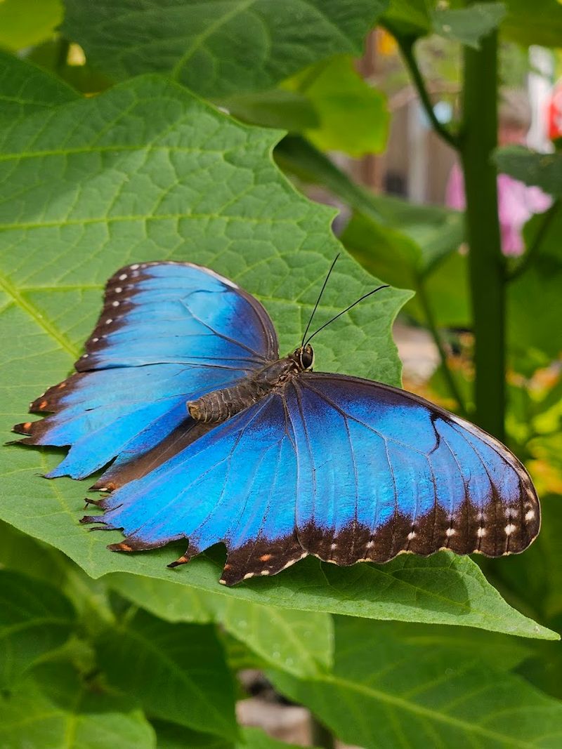 Seasonal Swings And Weather