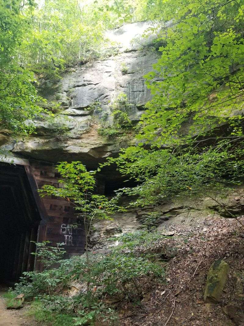 History You Can Touch, Without The Dusty Lecture