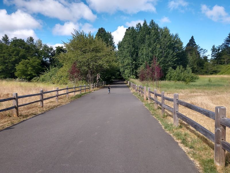 Accessibility And Practical Tips For Your Visit