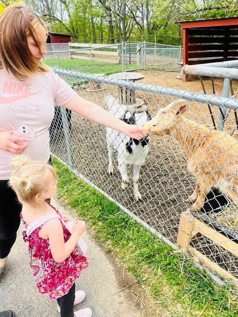 Why This Park Stays On Every Family's List