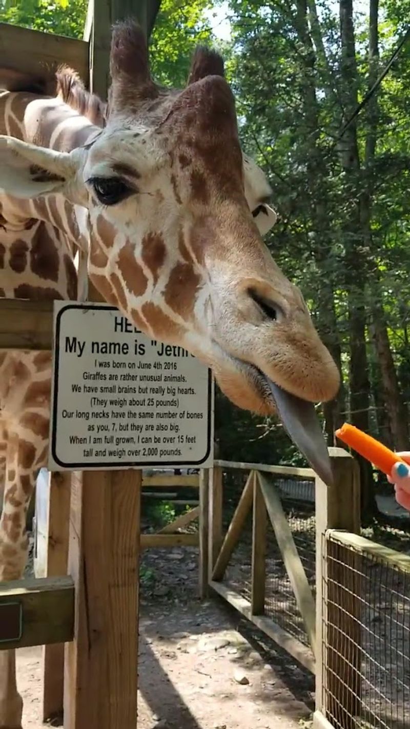 Why This Small Pennsylvania Park Keeps Drawing People Back