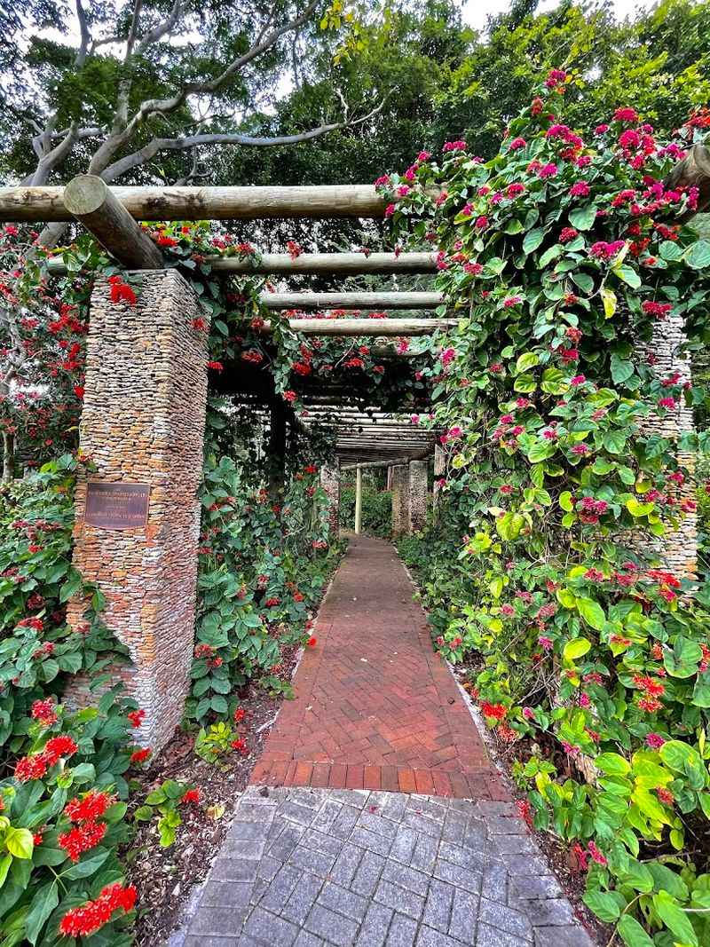 Photography And Annual Membership Perks