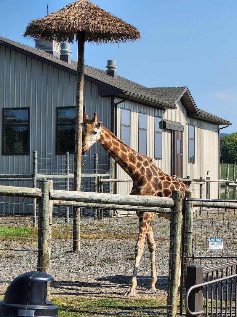 Tips For Making The Most Of Your Visit