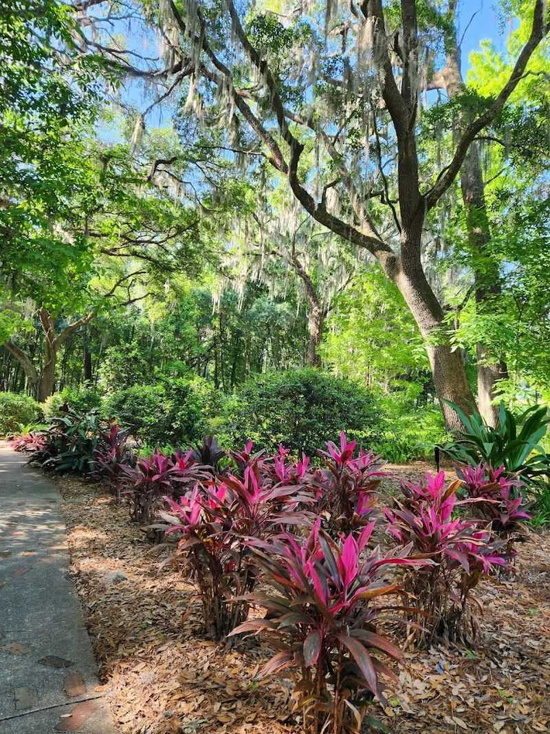 Free To Enter, Priceless To Experience