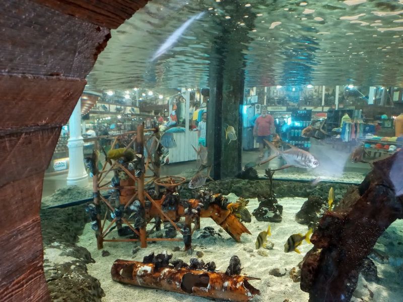 Kid-Appeal Without Chaos