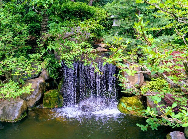 Best Times To Visit And Crowd-Smart Strategies