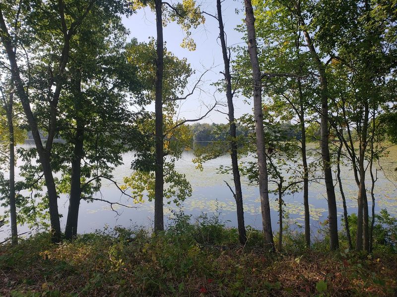 Triangle Lake Quiet Spots And Small Boats