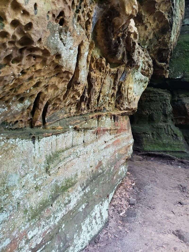 Photography Opportunities on the Trail