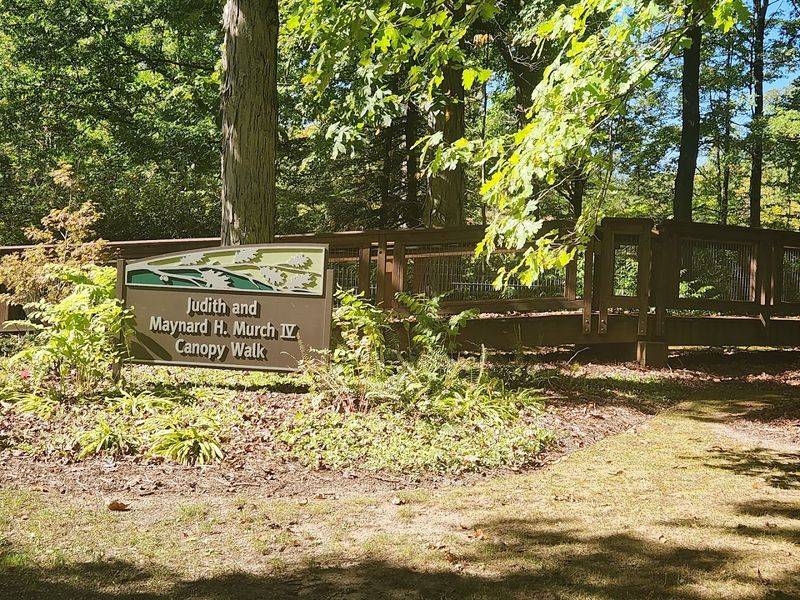 Practical Tips Before You Head Out