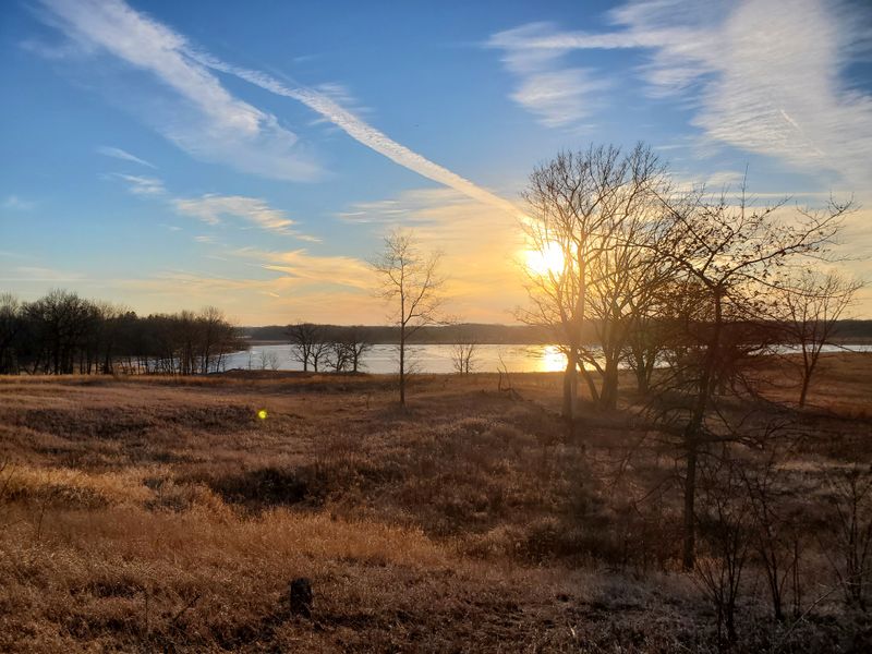 Spectacular Fall Colors That Rival Any Forest