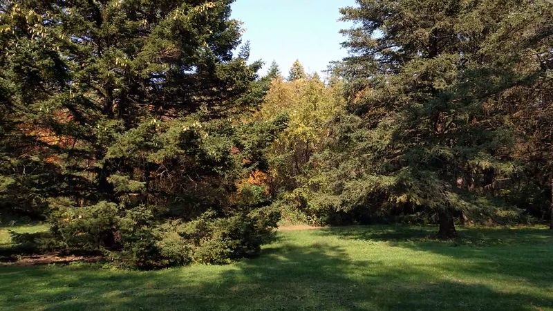 Peaceful Wooded Trails