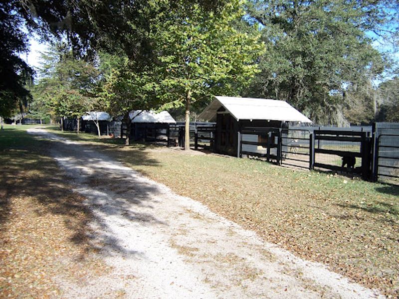 Acres of Freedom On A Former Horse Farm