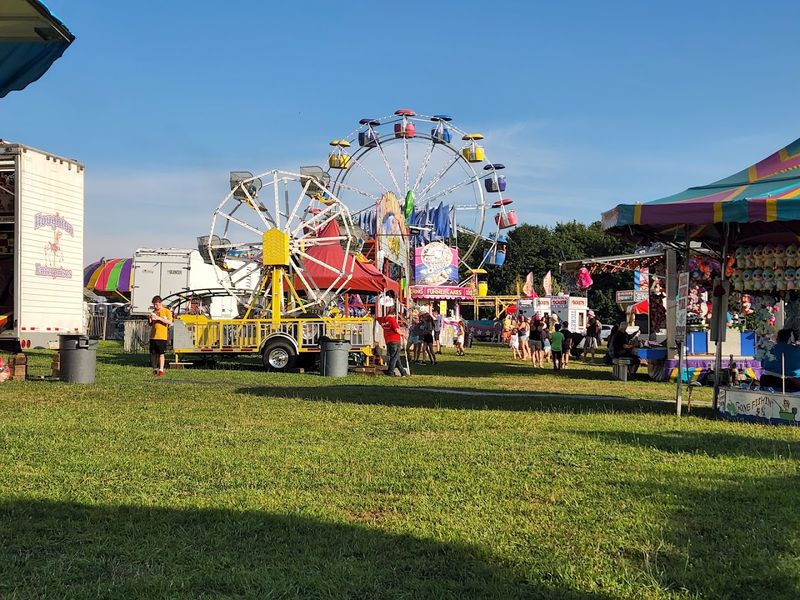 Activities And Rides For Kids And Families Activities And Rides For Kids And Families