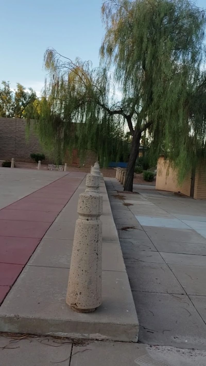 Activities Beyond Just Walking