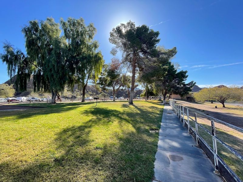 The Dog Park And Pet-Friendly Atmosphere