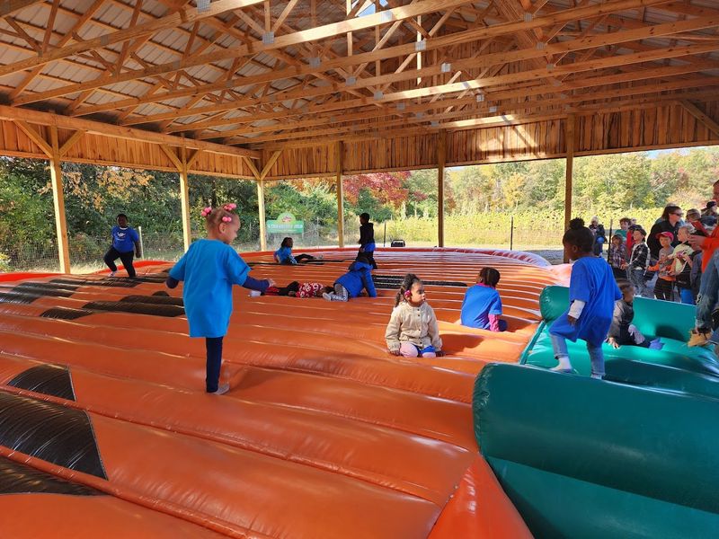 Activities That Keep Everyone Busy