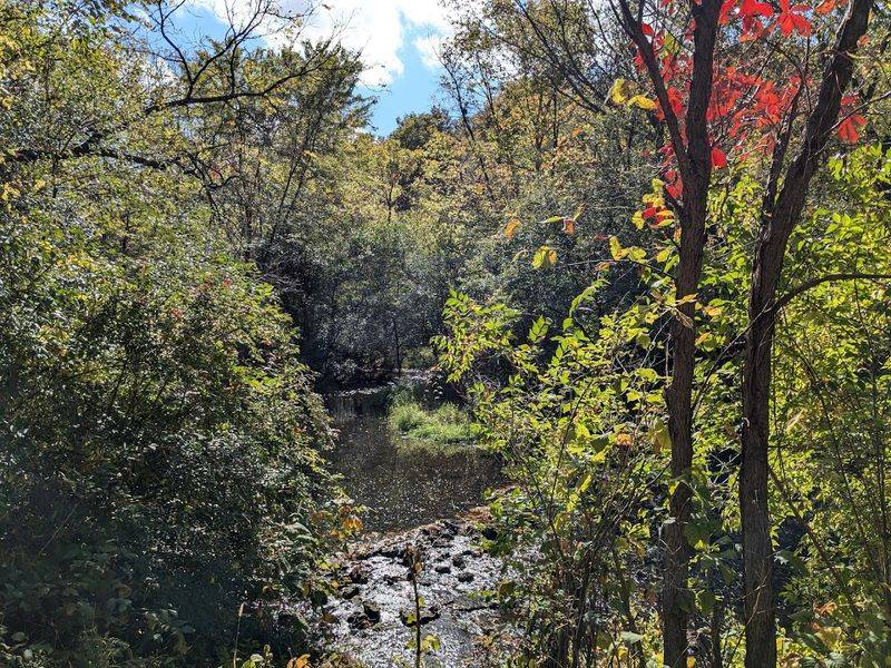 Rock Cut State Park, Loves Park/Rockford Area