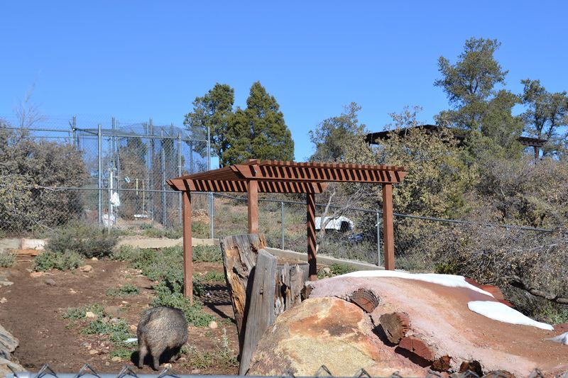 The Sanctuary's Setting In Prescott, Arizona