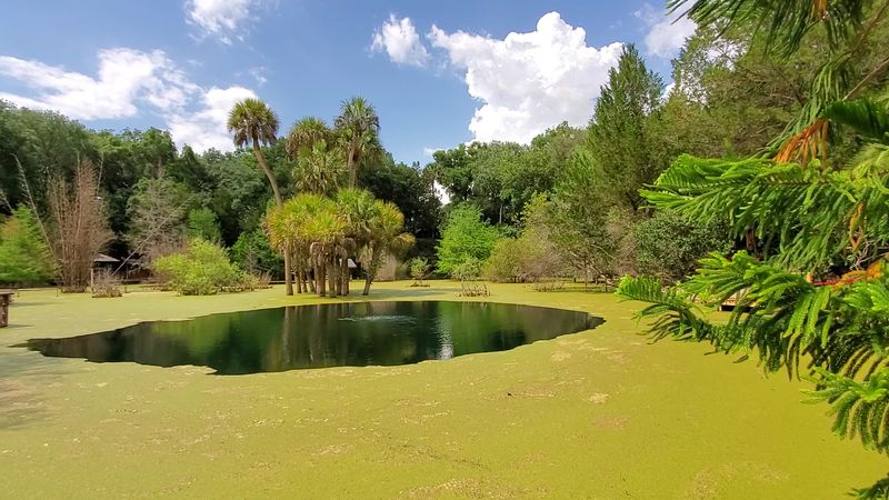 Seasonal Visits Reveal a Completely Different Garden