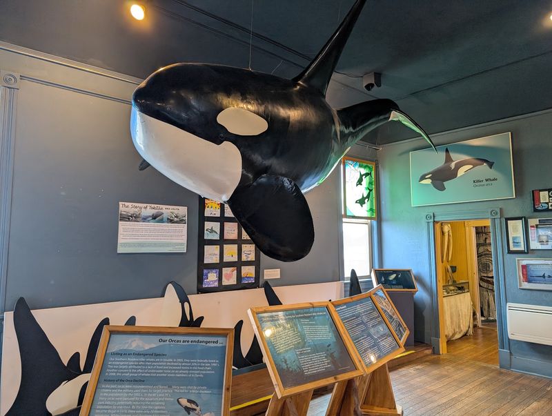 Adopt A Whale And Shop The Gift Shop