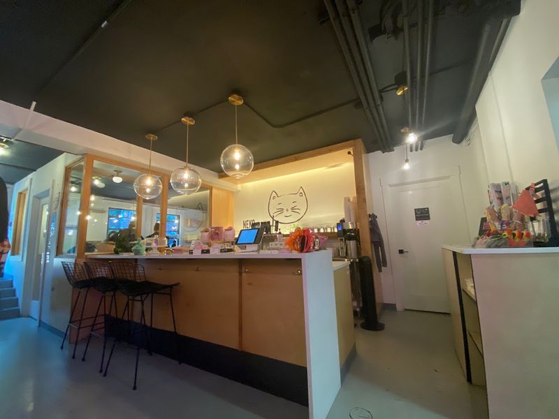 Delicious Treats And Beverages To Enjoy