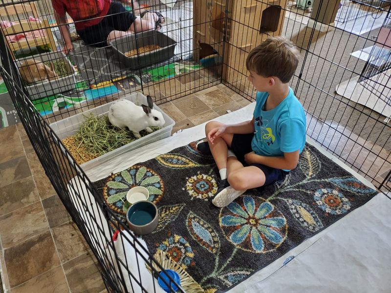 Adoption Here Feels Like A Thoughtful Match, Not A Quick Pickup