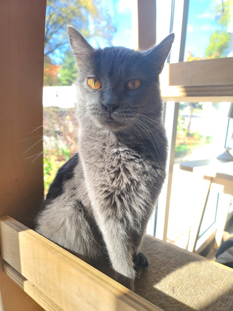 Choose Your Seat Like A Strategist