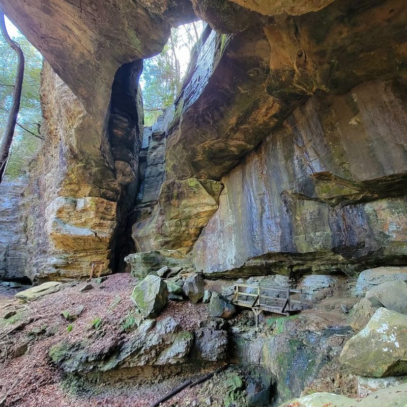 The Ribboned Showstopper