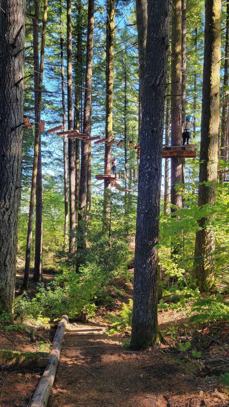 Aerial Park With 28 Obstacles Aerial Park With 28 Obstacles