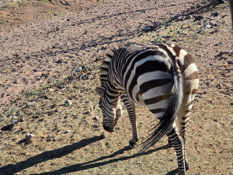 Conservation Education Mission