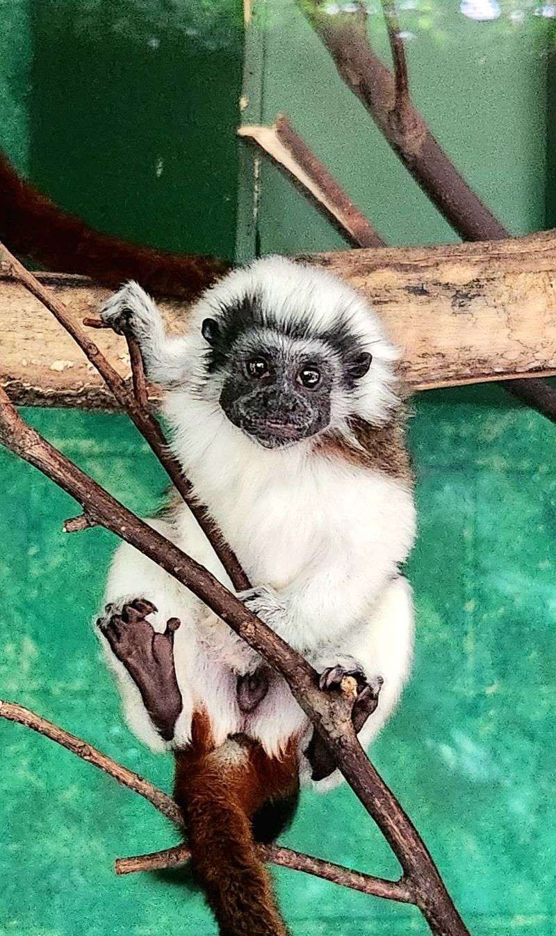 Friendly Staff Enhance Every Visitor Interaction