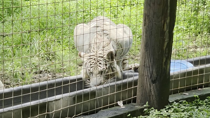 Affordable Admission That Supports Real Conservation Work
