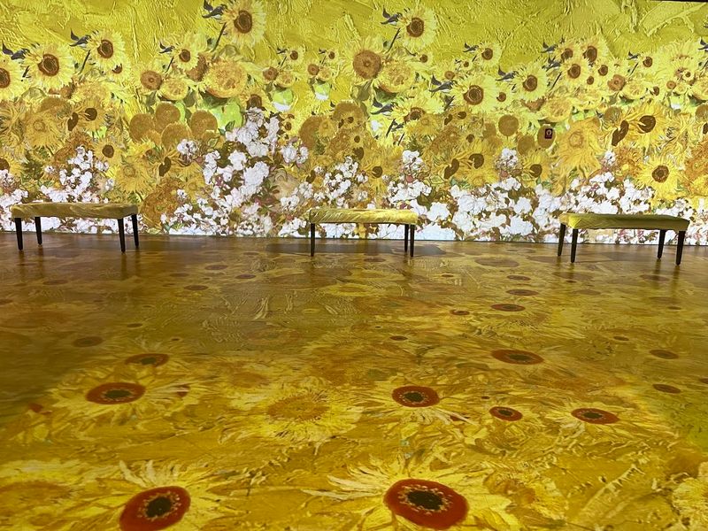 Upcoming Relocation Promises Enhanced Experience