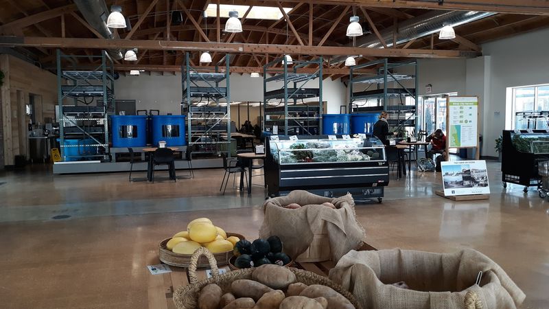 Cooking And Nutrition Programs