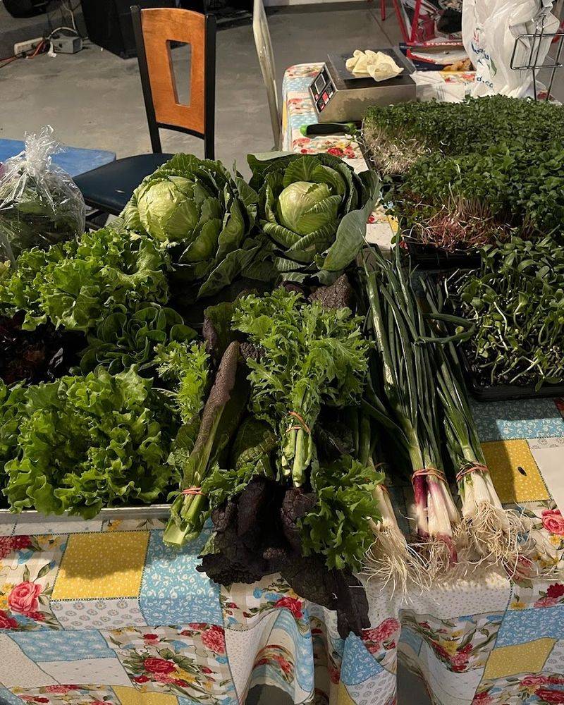 Groceries And Everyday Costs That Won't Shock You