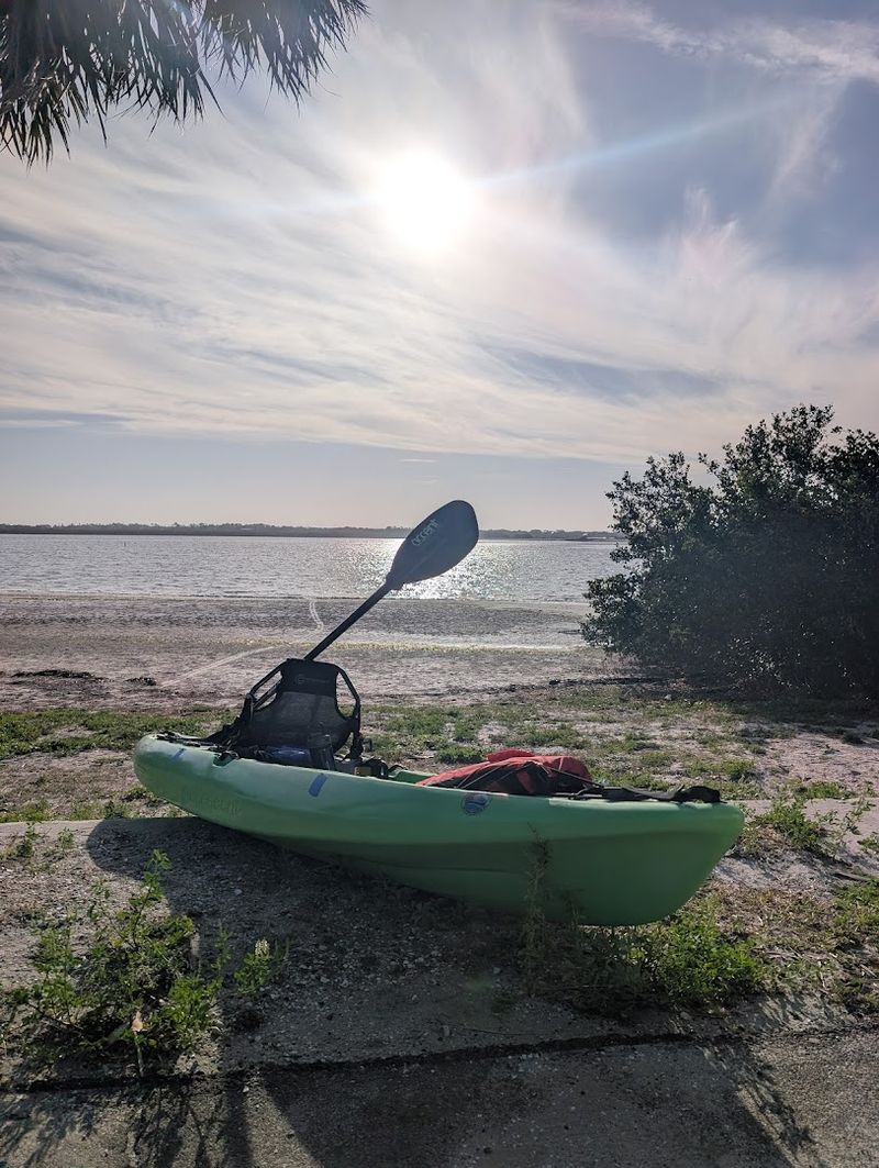 Wildlife And Bird Watching Opportunities